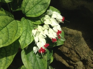 Joining in Light Session Aug 3 1 hearts joined in love