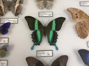 Join the Holy Instant: Accept True Nature 1 1734