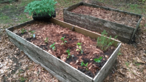 Holy Encounter - A Course in Love and Crock Pots 2 Holy Encounter - A Course in Love and Crock Pots