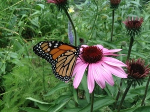 Joining: Practical Experiences 1 butterflyjoinsflower