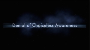What is Denial of Choiceless Awareness?