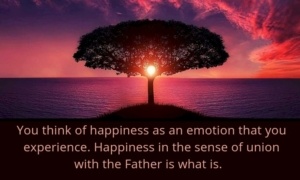 Update: A New Covenant to Chapter 12, Spanish, Light Circle Videos