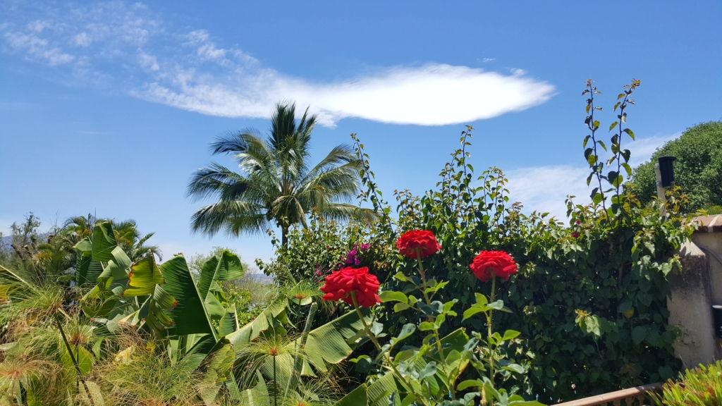 Dedication Photos! The Joining in Light Center, May 11, 2019 26 Dedication Photos! The Joining in Light Center, May 11, 2019